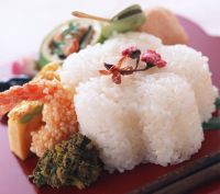 Sushi-Kurse in Frankfurt vergleichen und Geld sparen